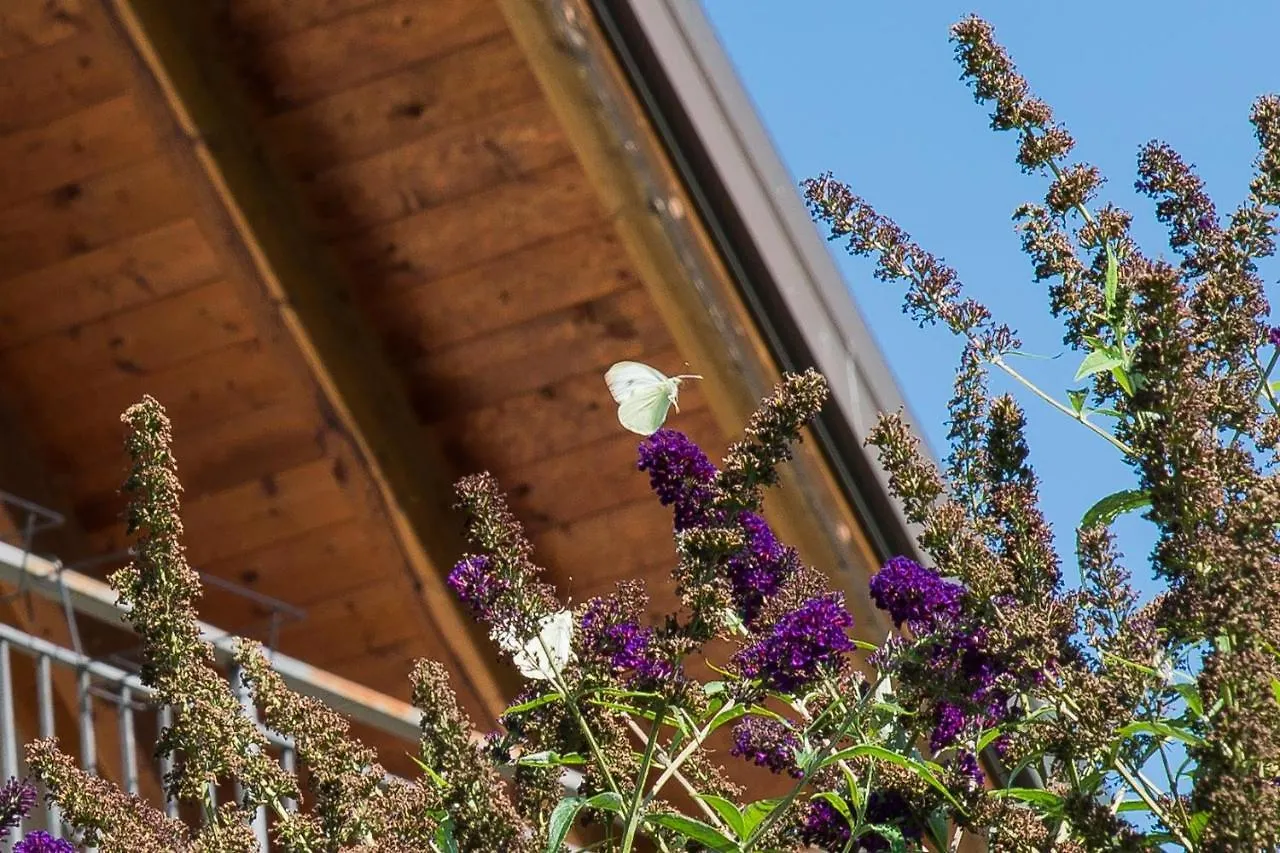 Bed & Breakfast B&B La Provenzale Tornolo