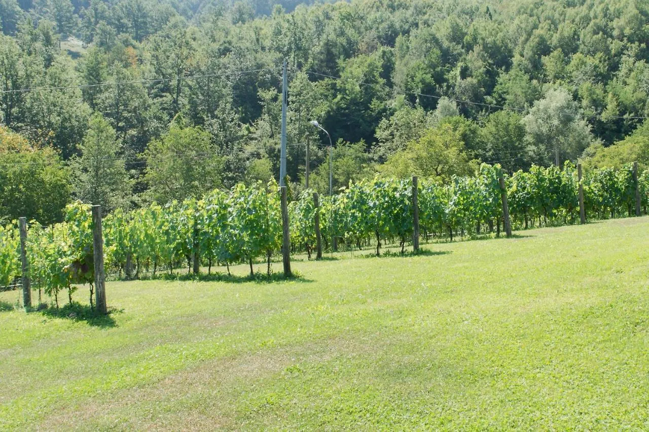 B&B La Provenzale Tornolo Italy