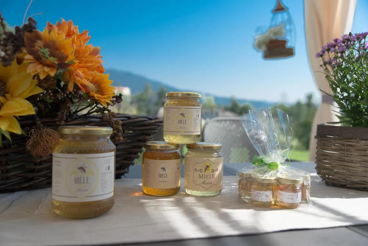 Bed & Breakfast B&B La Provenzale Tornolo